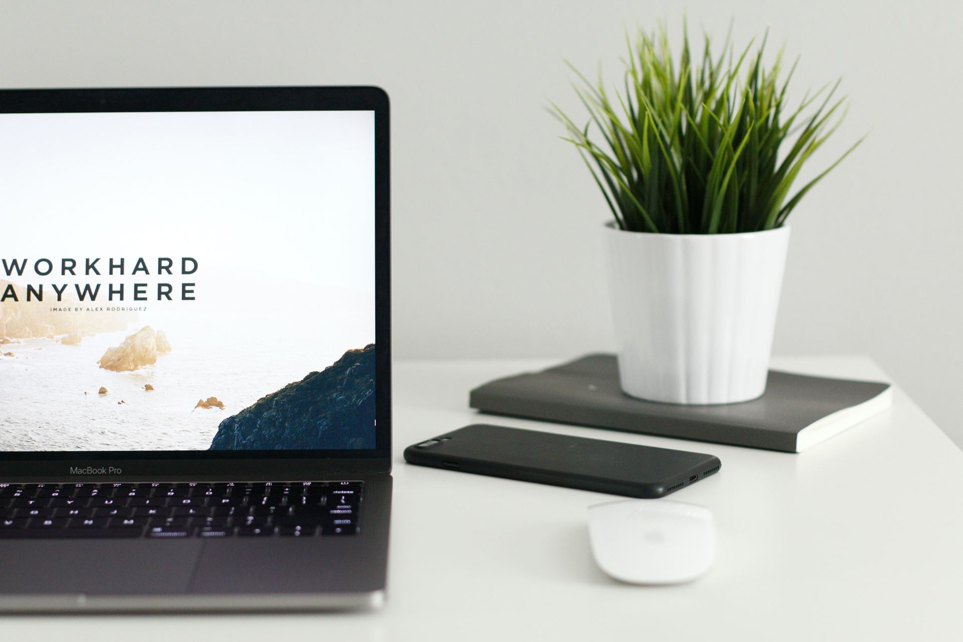 a laptop on a desk with a pot plant